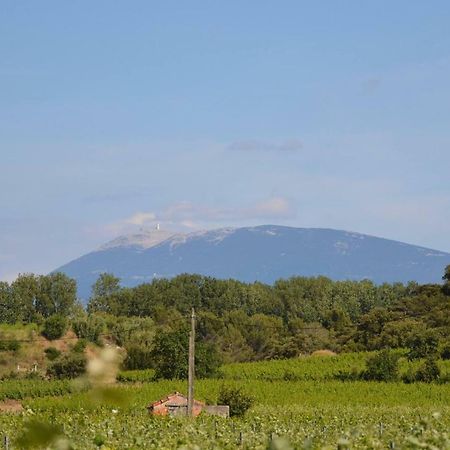 Vacances Vaison La Romaine المظهر الخارجي الصورة