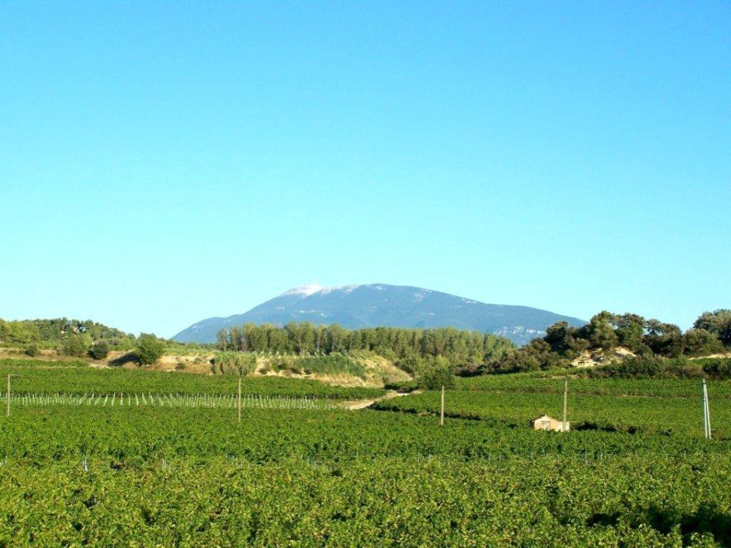 Vacances Vaison La Romaine المظهر الخارجي الصورة